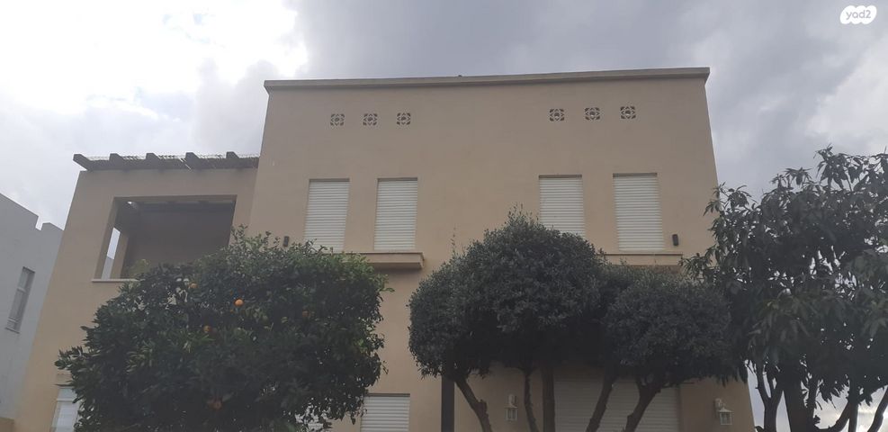 עציון 