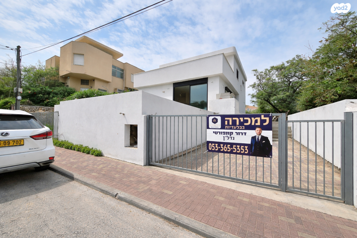ברנדייס