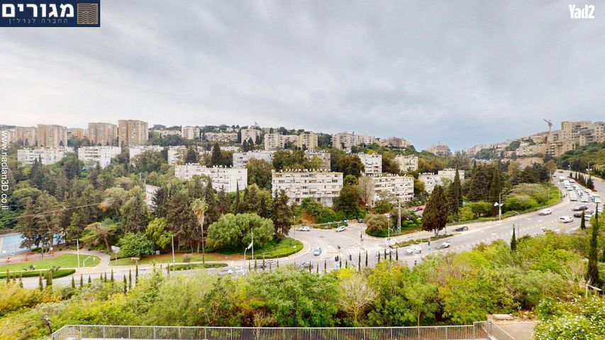 הצלפים 