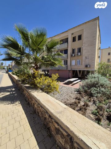 צבי בורנשטיין 