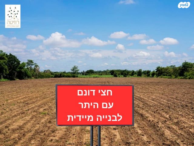 מגרשים