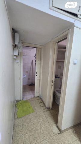 הבריגדה היהודית 