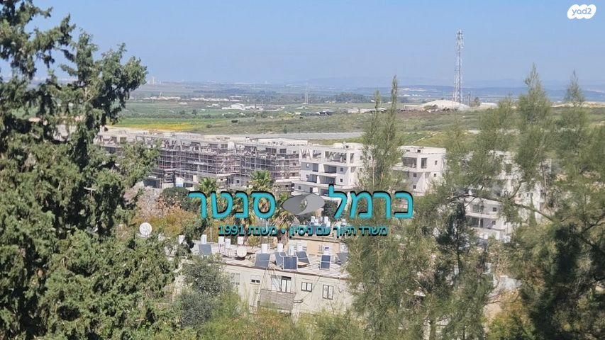 גבעת הרקפות, גבעת תל חי