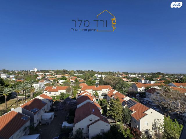 גינת אגוז 9