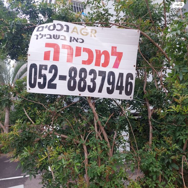 לסטר/רבוצקי