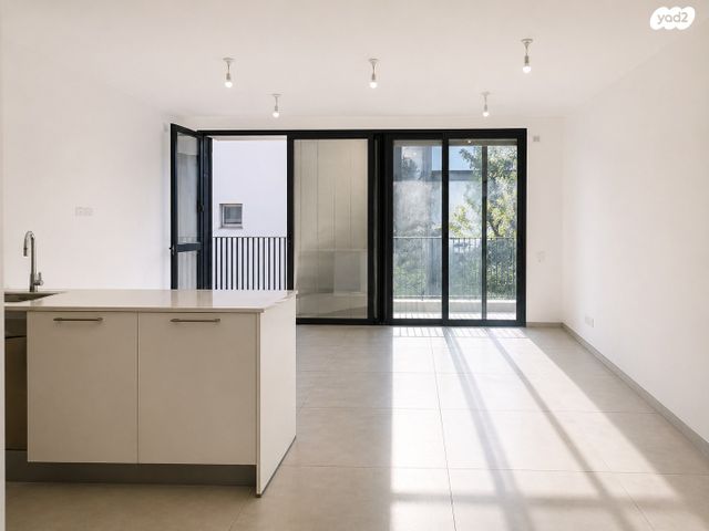 אנטיגונוס 13