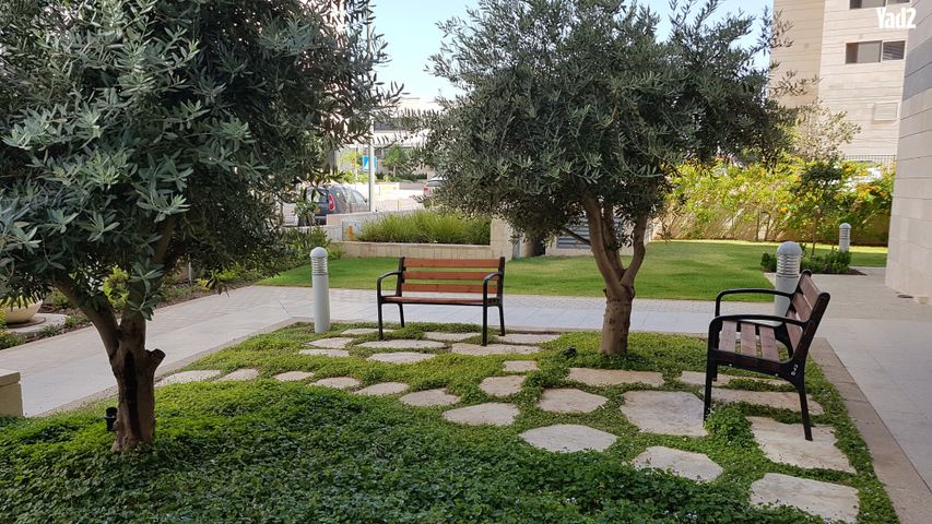 דירה