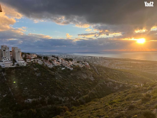 דורון מייבלום 