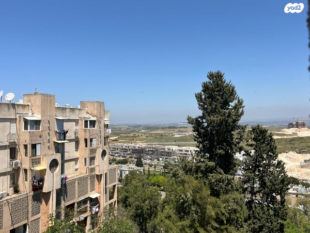 בן עמי 19