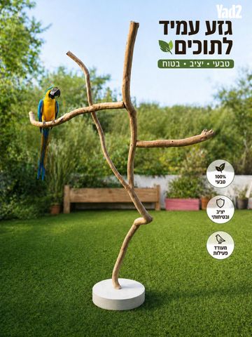 תמונת מודעה - חיות מחמד