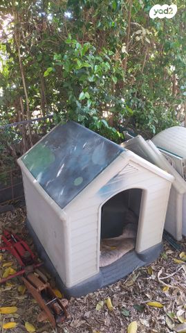 תמונת מודעה - חיות מחמד