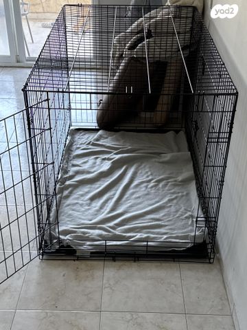 תמונת מודעה - חיות מחמד