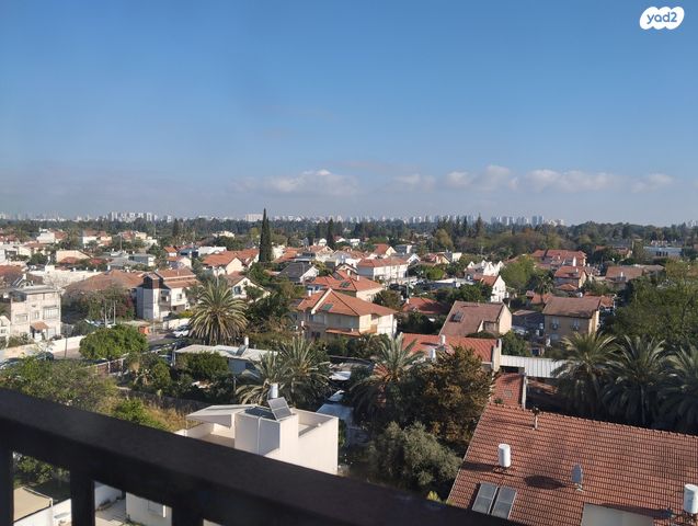 עץ האפרסק 4