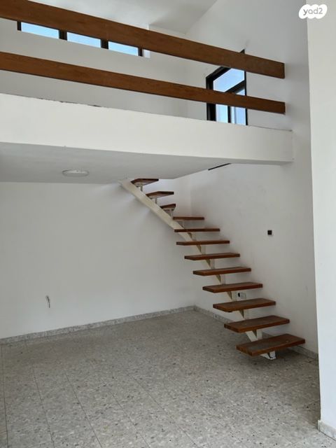 כלנית 2