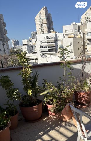 זלמן שז"ר 29