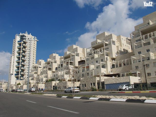 שאול אביגור 1