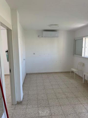 המלך דוד 15