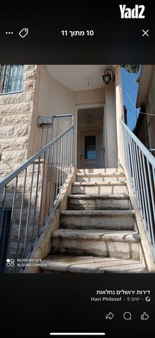 הדקל 2