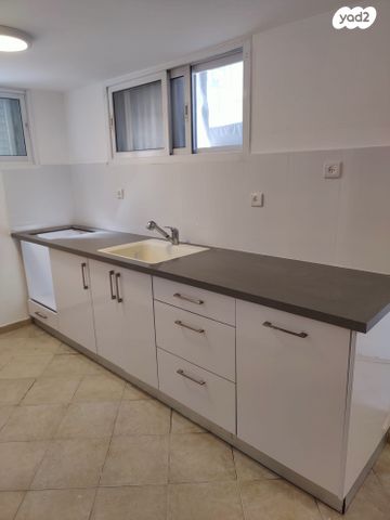 הרימון 11
