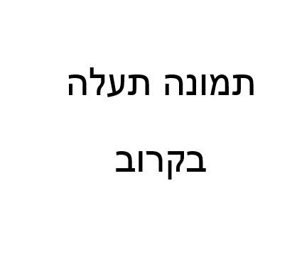 עץ הדר 101