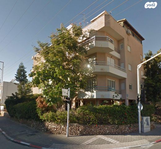 קהילת ציון 20