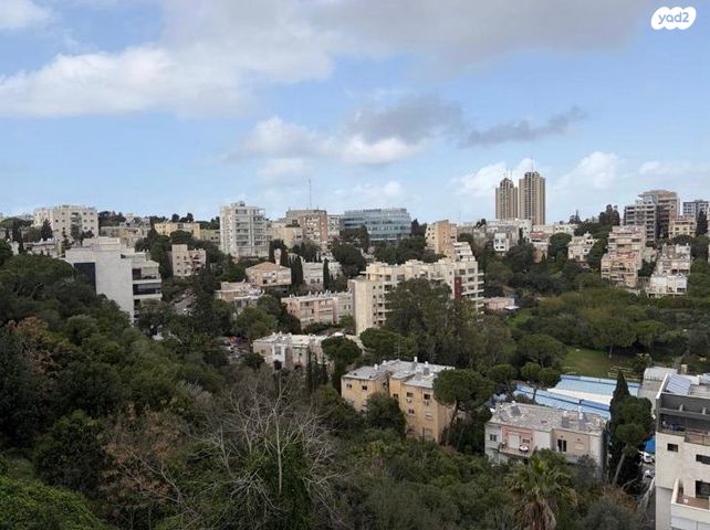 פייגין 7