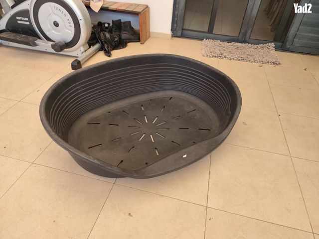 תמונת מודעה - חיות מחמד