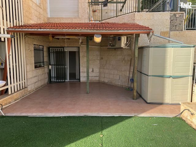 סול ליפצין 17