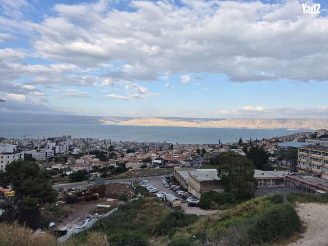תמר 10