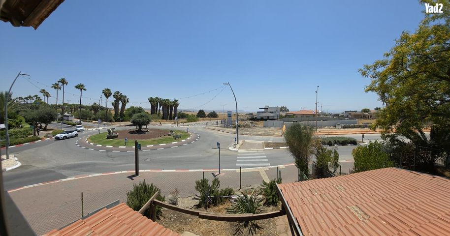 זוויתן 25
