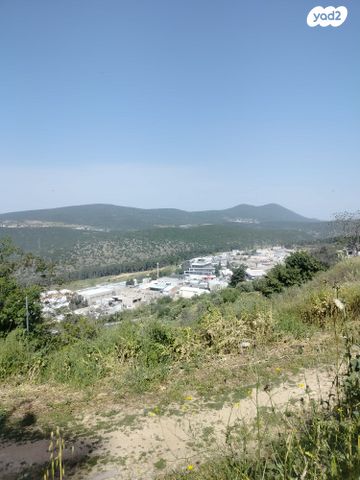 דוד אלעזר 213
