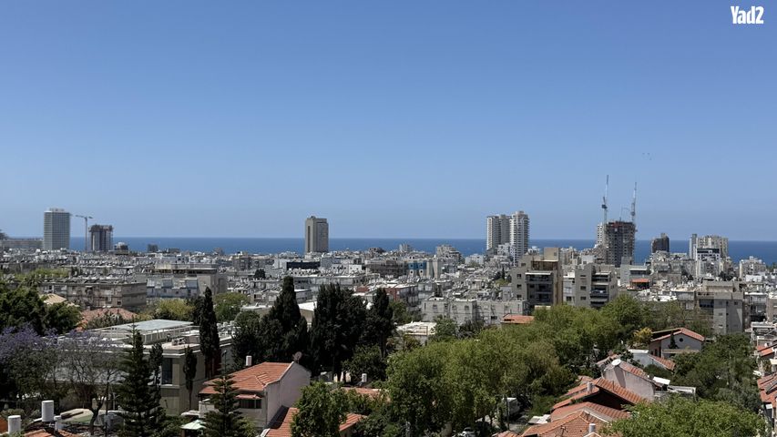 כצנלסון 24