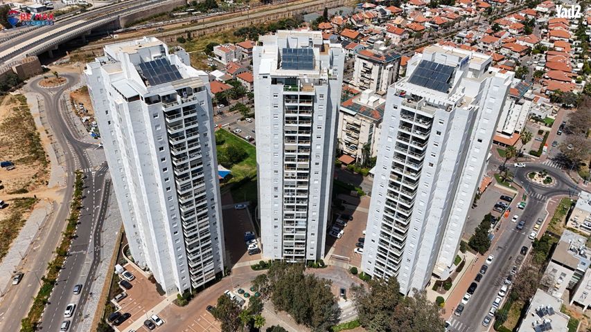 משה דיין 4
