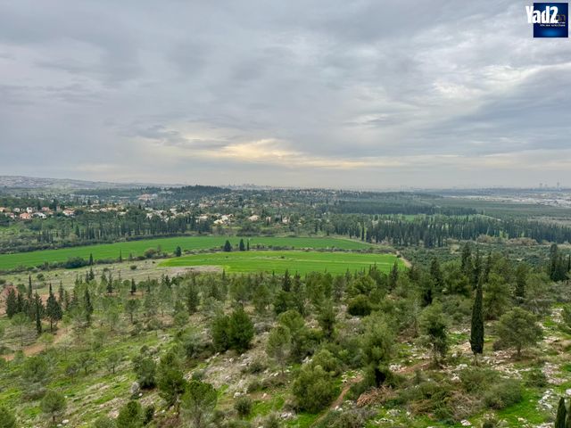 דירה, צור יצחק, צור יצחק