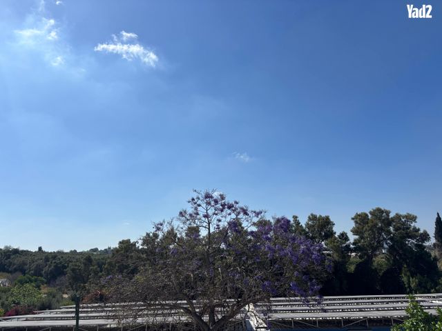 בית פרטי/ קוטג'
