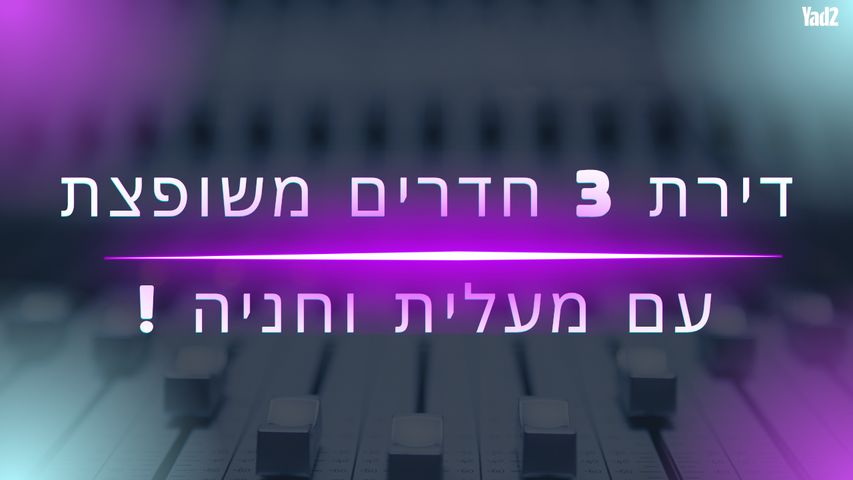 השופט ברנדייס 