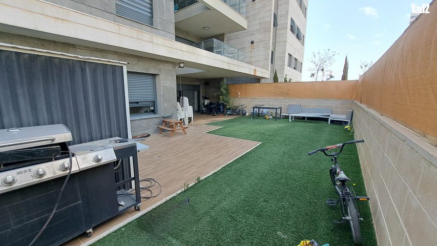 נרקיסים