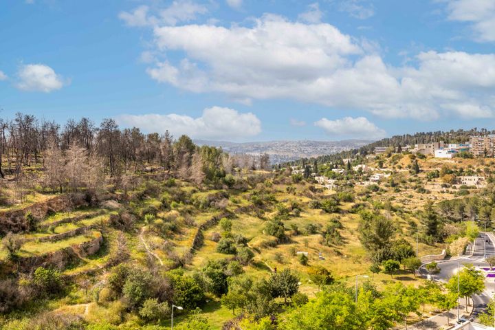 דירה למכירה בירושלים (תיווך) — 2