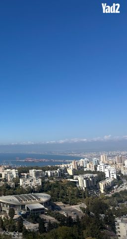 אורן 