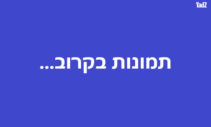 חיים עוזר 