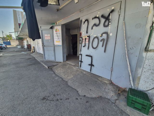 כללי, חיפה