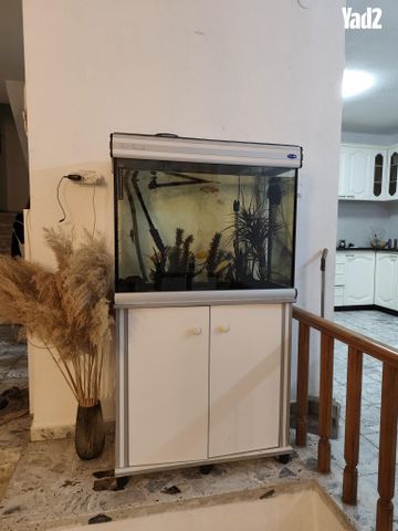 תמונת מודעה - חיות מחמד