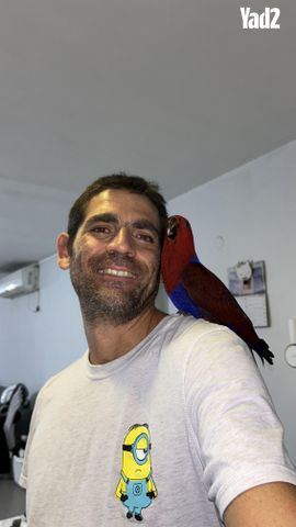 תמונת מודעה - חיות מחמד