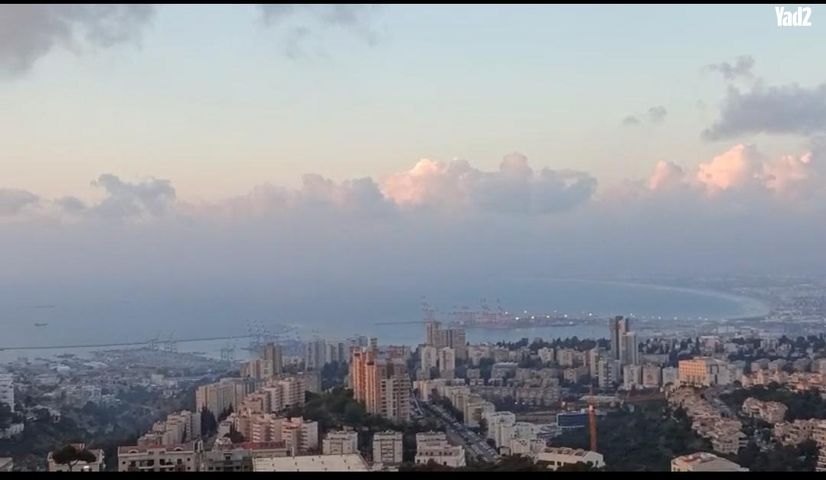 עמירם חרלף 8