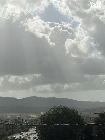 חבצלת 1
