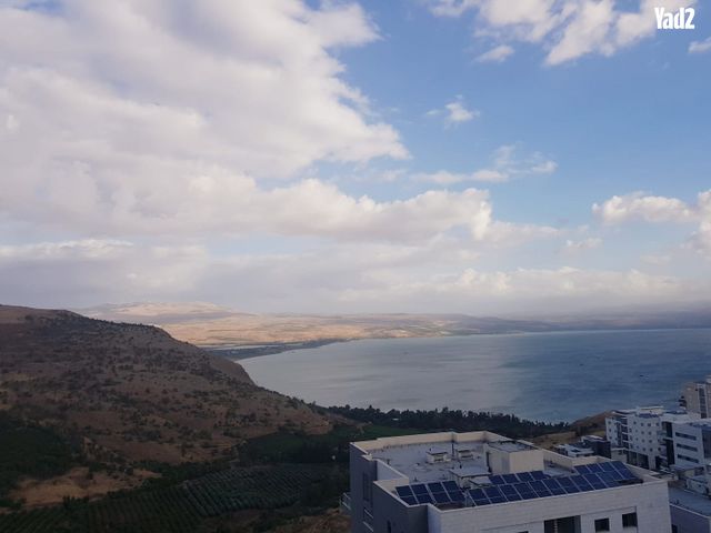 מורן 14