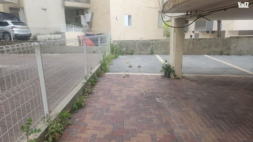 הנגבה 19
