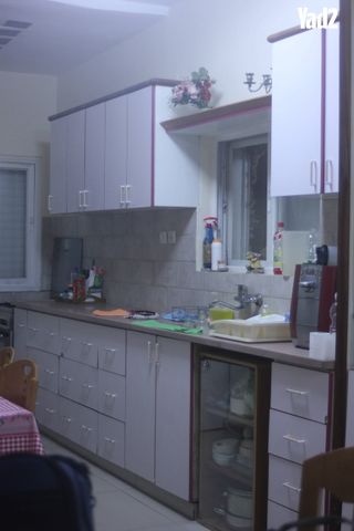 הארז 3