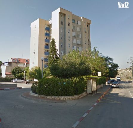 הזית 1