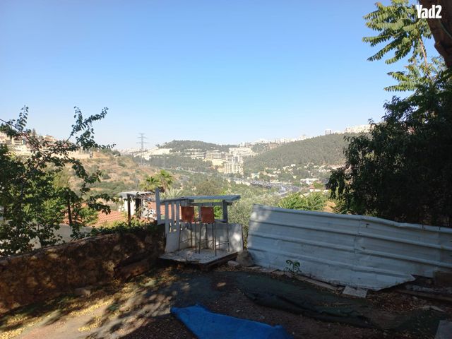 התפוח 23